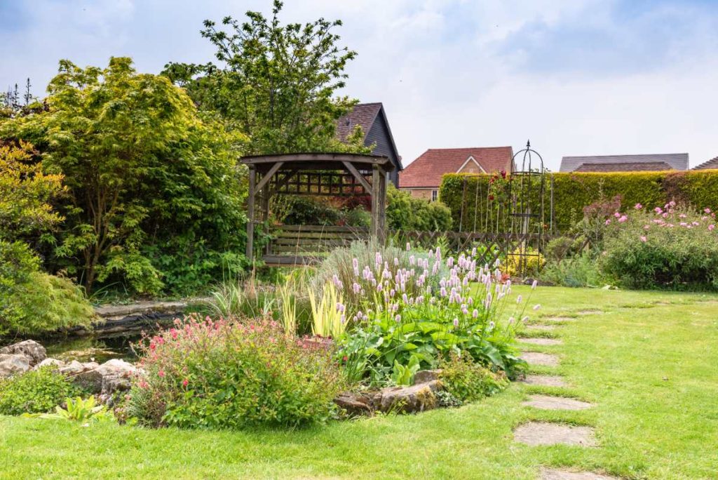 Des plantes vertes dans le jardin