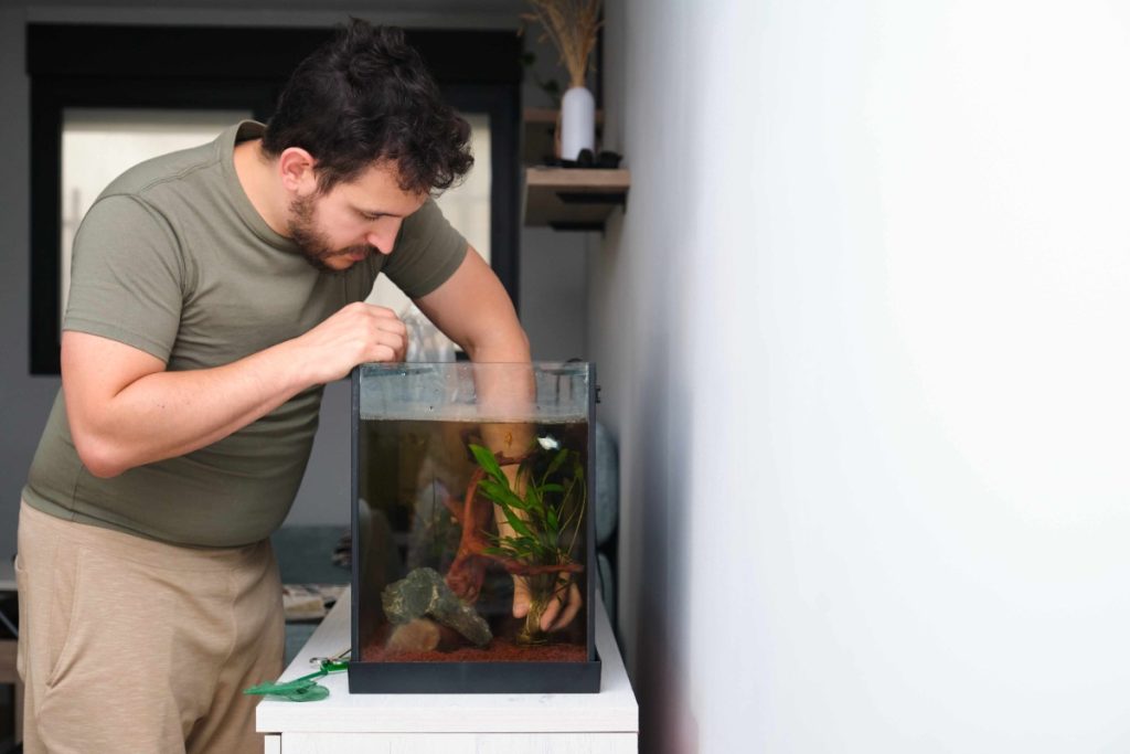 Comment ajouter des plantes dans un aquarium déjà habité par des poissons ? Un homme plantant une nouvelle plante dans un aquarium
