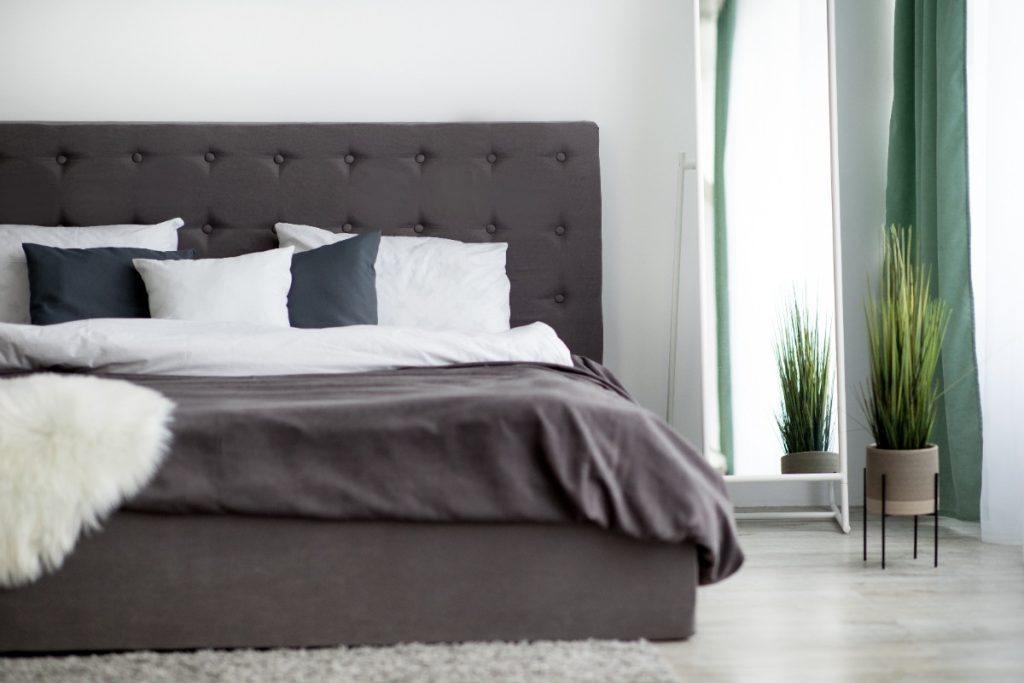 Intérieur minimaliste avec un lit et une plante verte