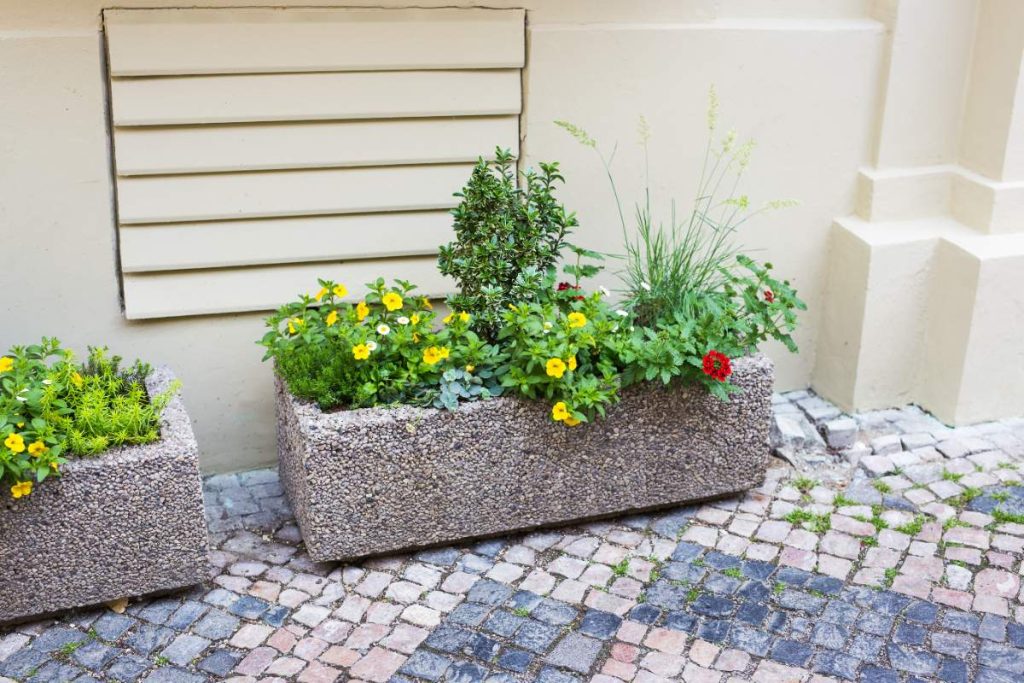 Des plantes vertes dans les jardinières